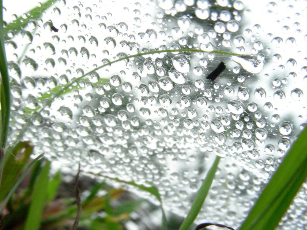 Photography — Girigari